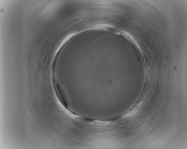 X0000070400851200606161343