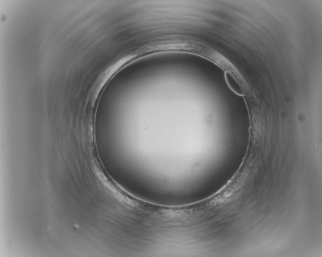 X0000070400852200606161343