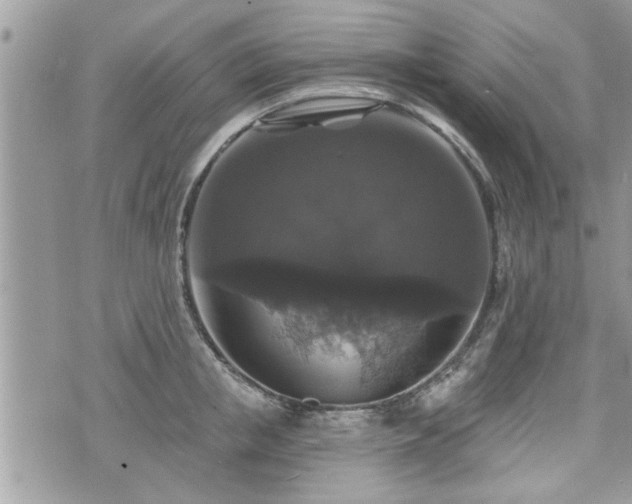 X0000070400853200606161343