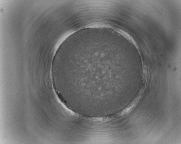 X0000070400855200606161343