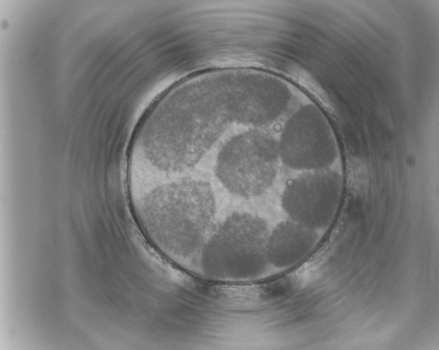 X0000070400856200606161343