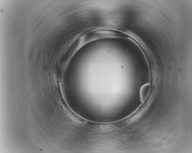 X0000070400857200606161343