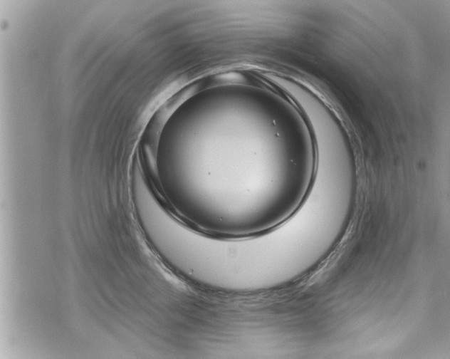 X0000070400858200606161343