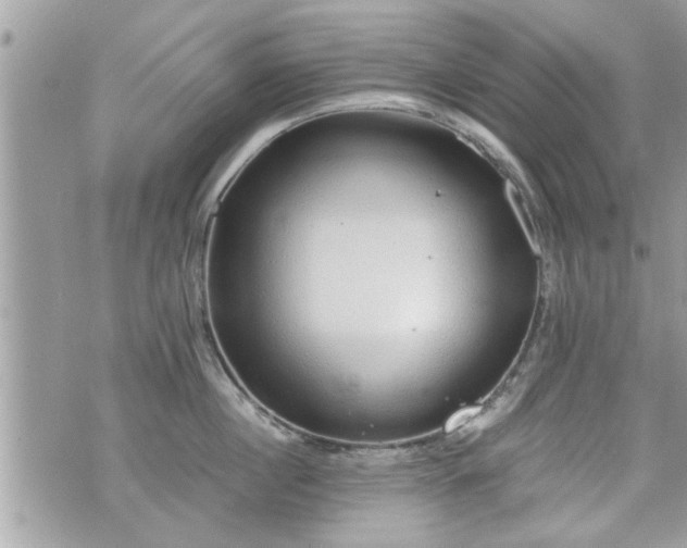 X0000070400860200606161343