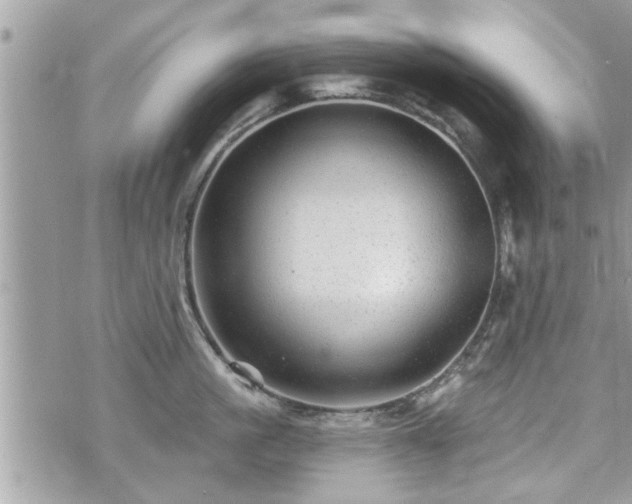 X0000070400861200606161343