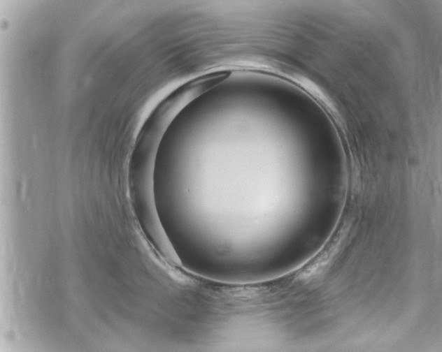 X0000070400862200606161344