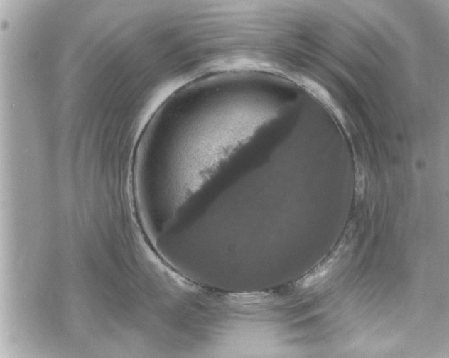 X0000070400863200606161344