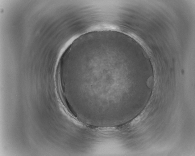 X0000070400864200606161344