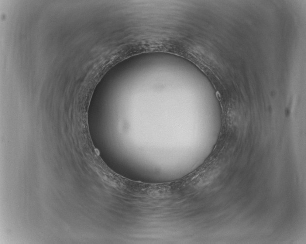 X0000070400865200606161343