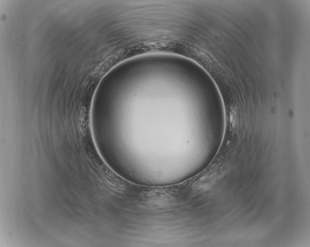 X0000070400867200606161343