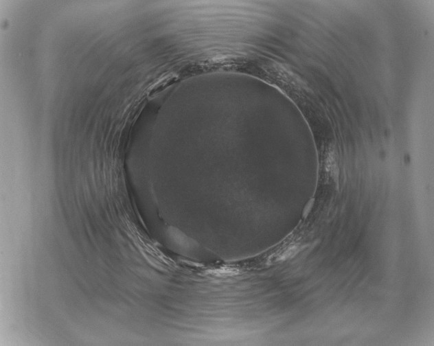 X0000070400868200606161343