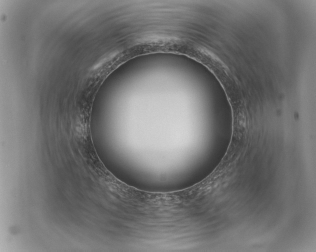 X0000070400869200606161343