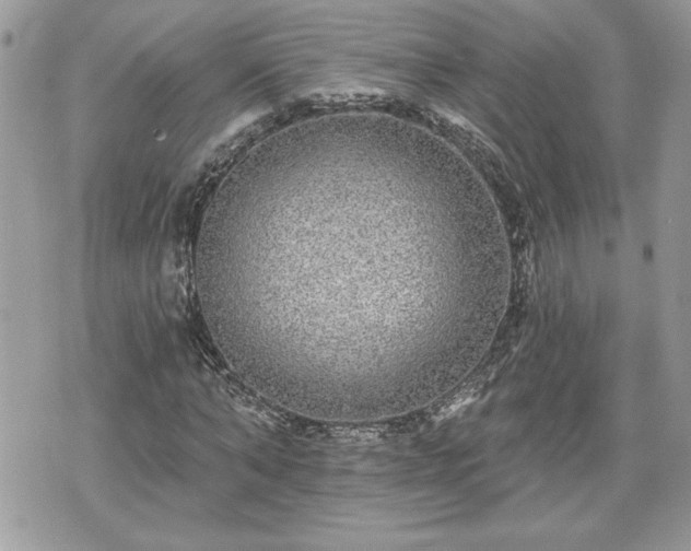 X0000070400870200606161343