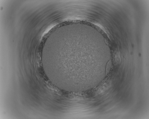 X0000070400871200606161343