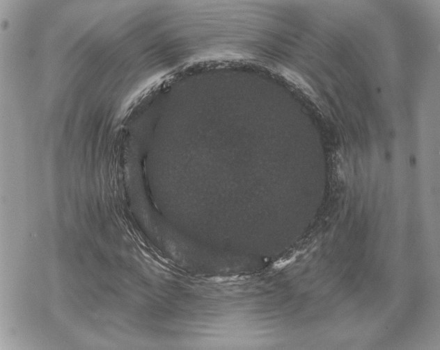 X0000070400872200606161343