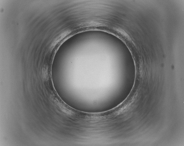 X0000070400873200606161343