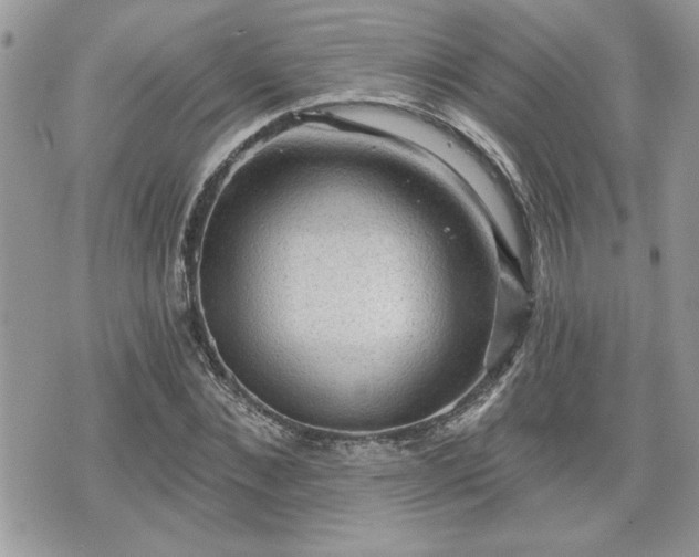 X0000070400876200606161343