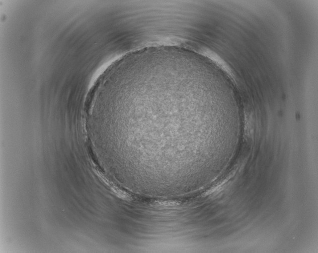 X0000070400878200606161343