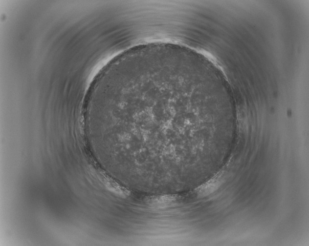 X0000070400879200606161343