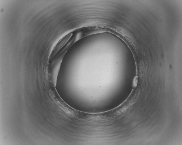 X0000070400880200606161343