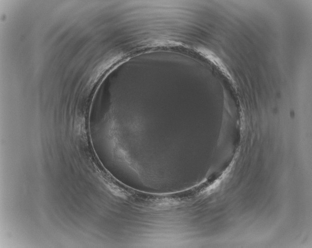 X0000070400881200606161343