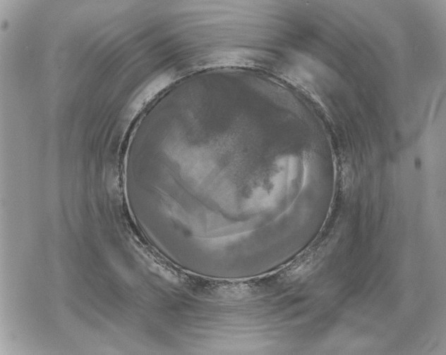 X0000070400882200606161342