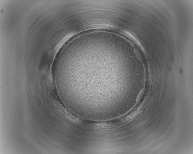 X0000070400883200606161342