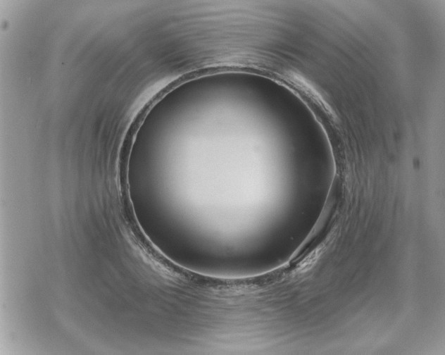 X0000070400884200606161342