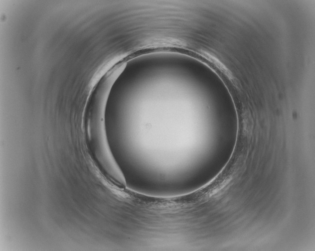 X0000070400885200606161342