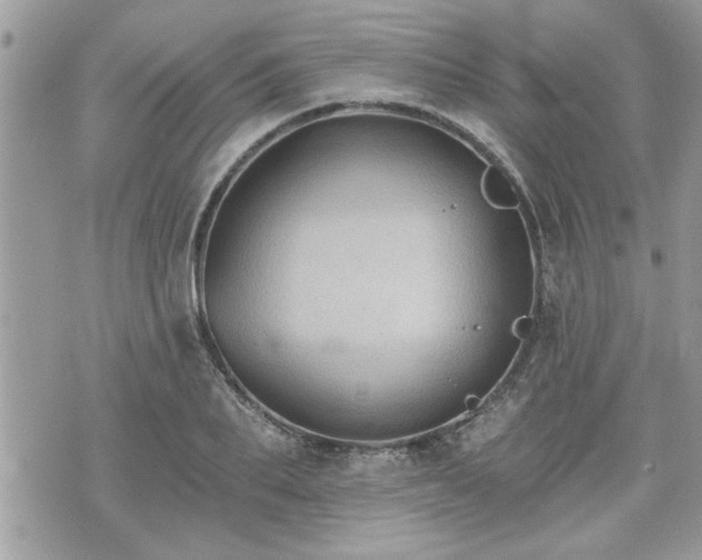 X0000070400887200606161342