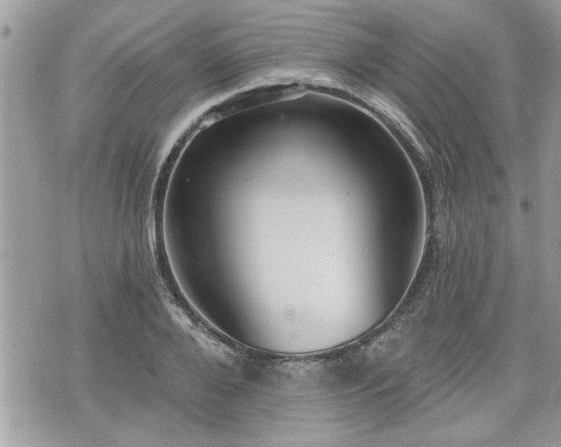 X0000070400888200606161342