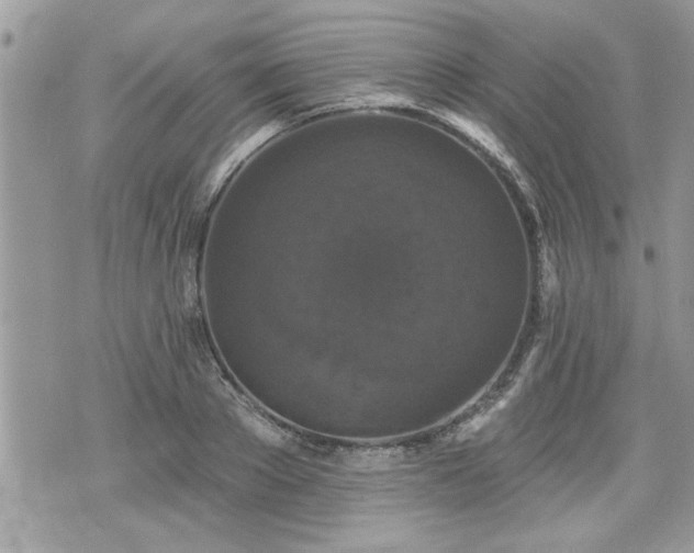 X0000070400889200606161342