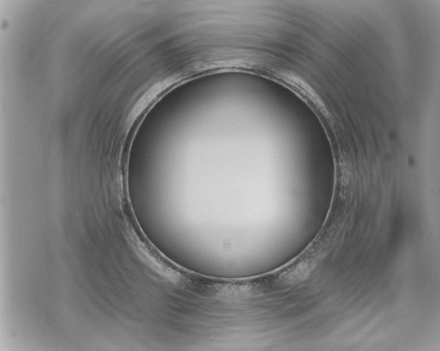 X0000070400890200606161342