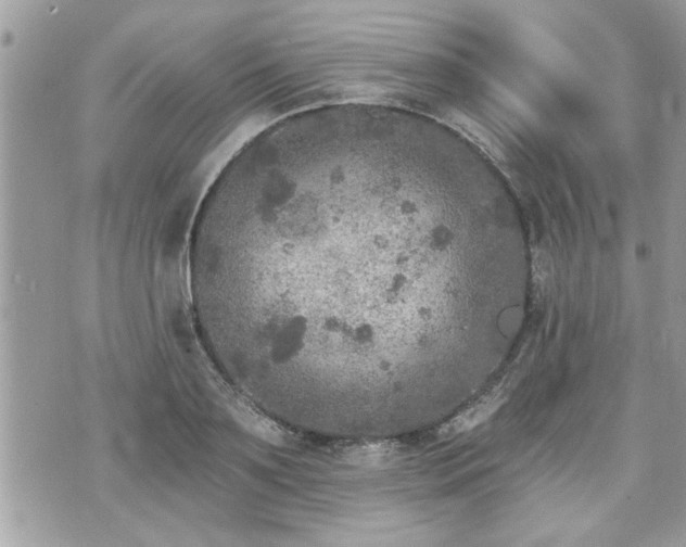 X0000070400891200606161342