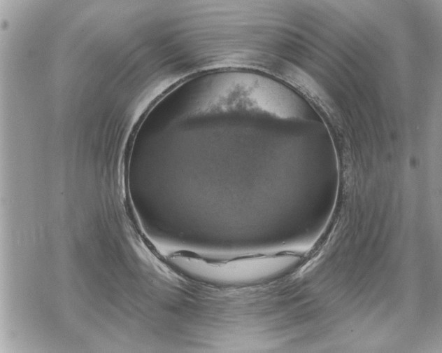 X0000070400892200606161342