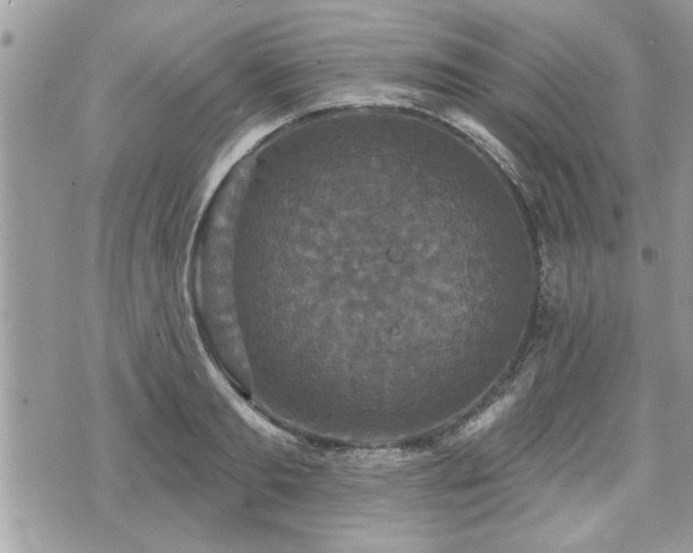 X0000070400893200606161342