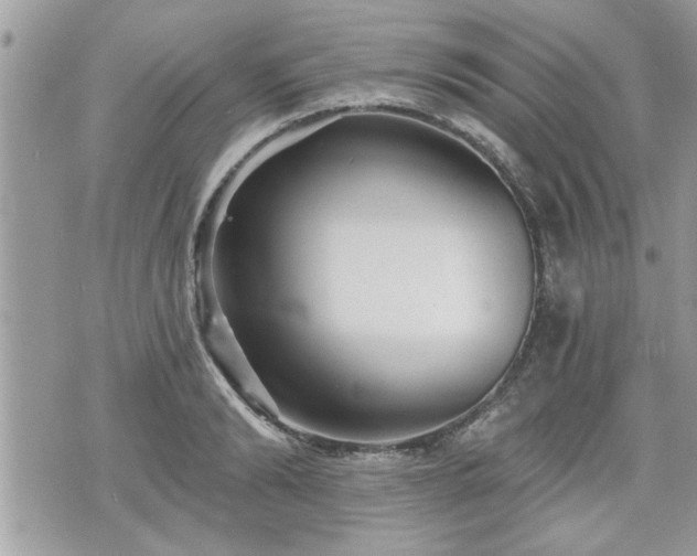 X0000070400894200606161342