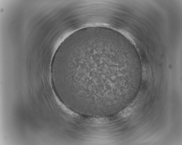 X0000070400895200606161342