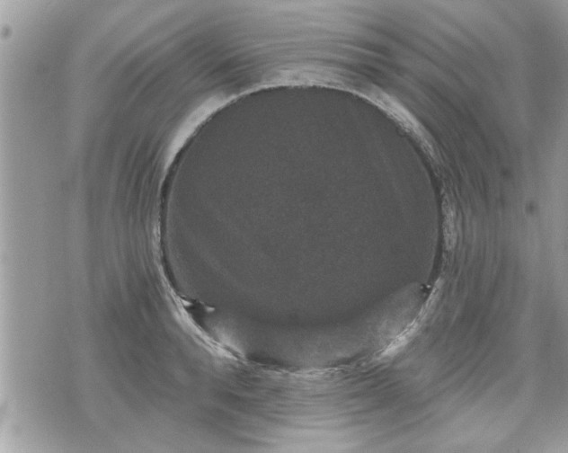 X0000070400896200606161342