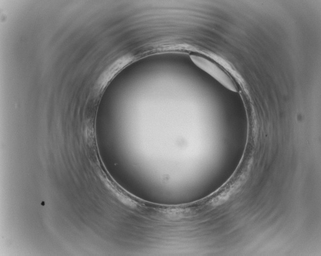 X0000070400897200606161342