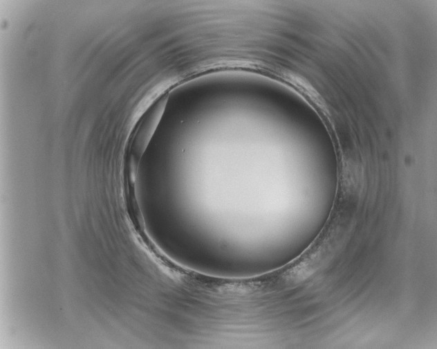 X0000070400898200606161342