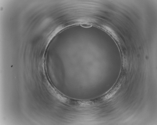 X0000070400899200606161342