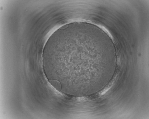 X0000070400903200606161342