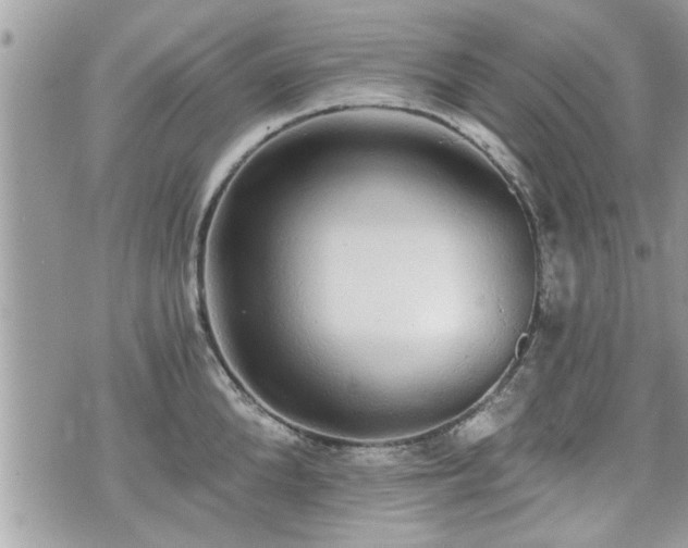 X0000070400904200606161342