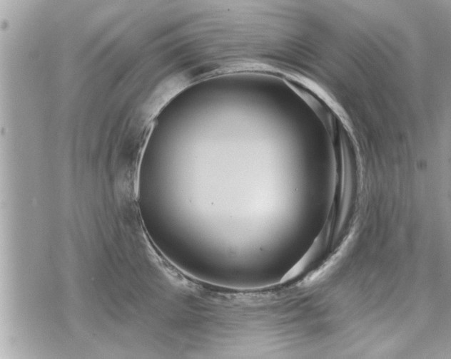 X0000070400905200606161342