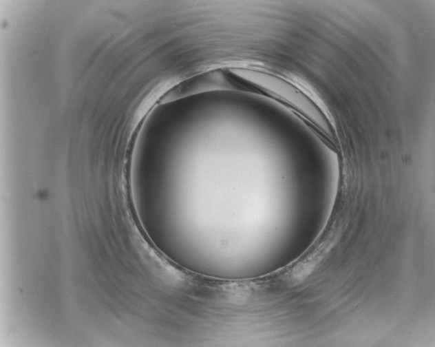 X0000070400906200606161342