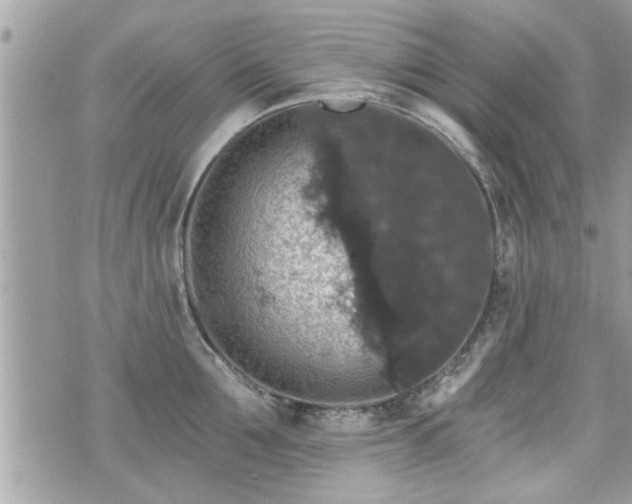 X0000070400907200606161342