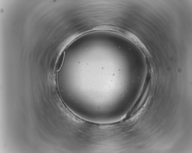 X0000070400908200606161342