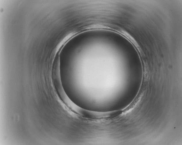 X0000070400909200606161342