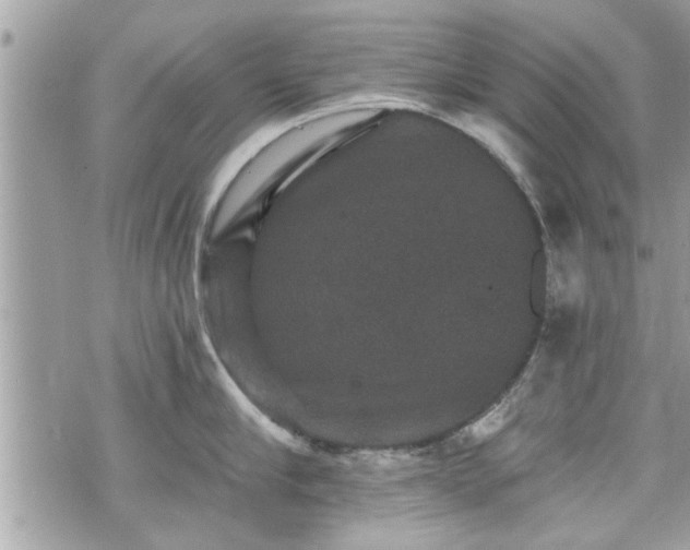 X0000070400910200606161342